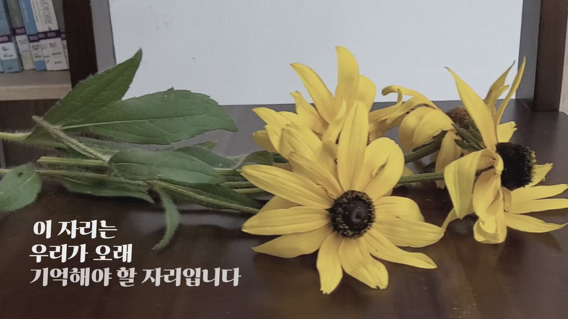 빈 의자에 피어나는 평화 썸네일